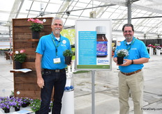 Dennis Wheeler and Ken Chatman of Chrisal presenting Alesco at the site of Syngeta. On the left, the untreated Techno Heat Light Blue Lobela and on the right the one treated with Alesco. Chrysal Alesco sprayed 2 days before shipping protected plants during 3 days of simulated shipping from the negative effects of ethylene.